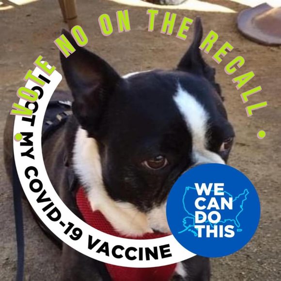 Meet your Posher, Lara - Picture 1 of 1